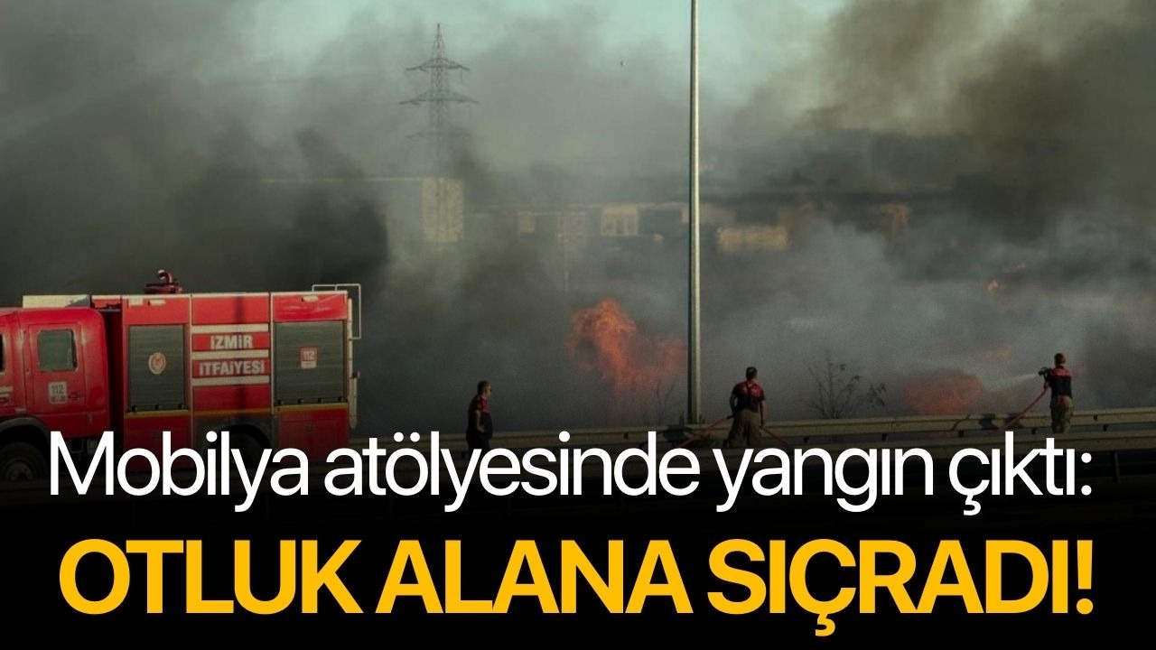 Mobilya atölyesinde yangın çıktı: Otluk alana sıçradı!