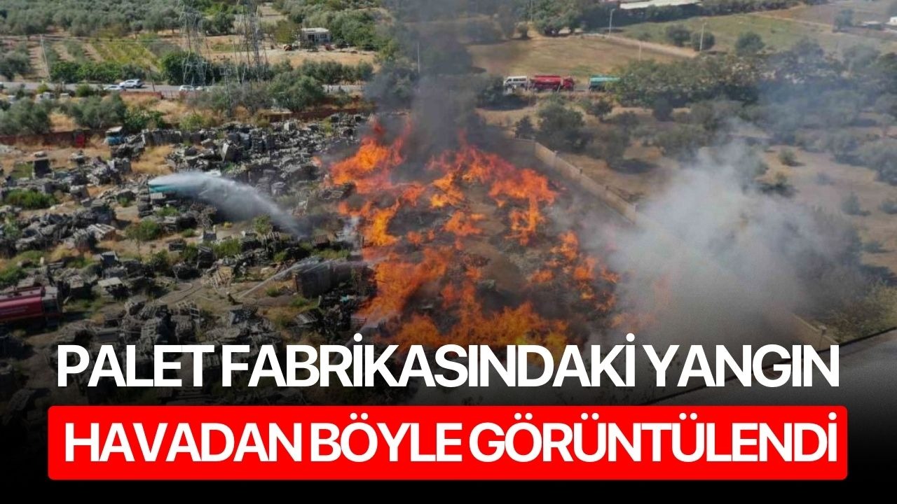 Palet fabrikasındaki yangın havadan böyle görüntülendi