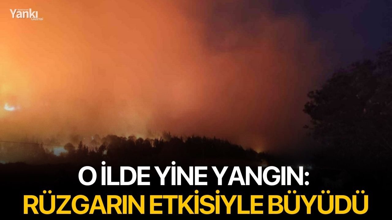 O ilde yine yangın: Rüzgarın etkisiyle büyüdü