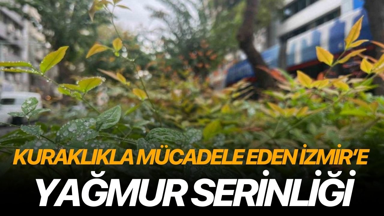 Kuraklıkla mücadele eden İzmir'e yağmur serinliği