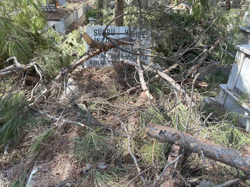 Mezarlıkta budanan ağaçlar kabirlere zarar verdi