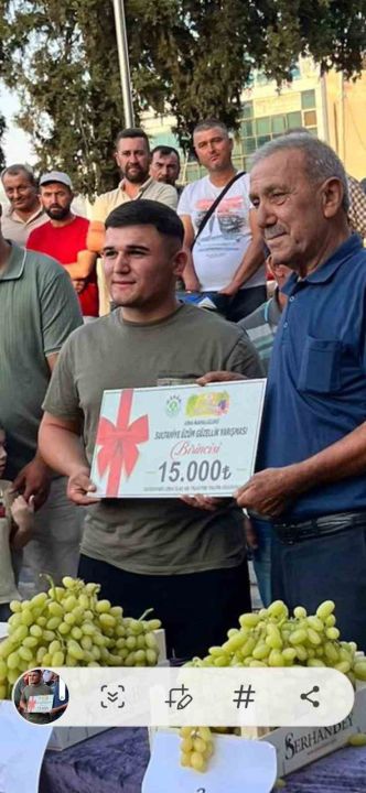 Sarıgöl’de Sultani üzüm yarışması