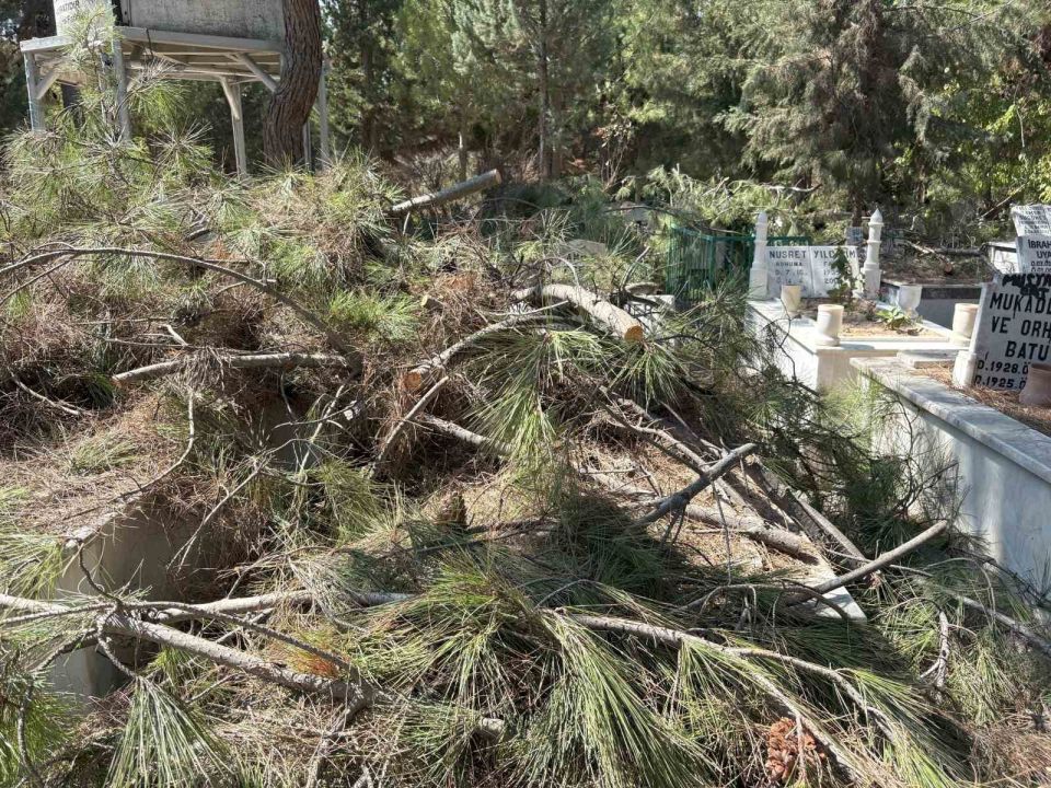 Mezarlıkta budanan ağaçlar kabirlere zarar verdi