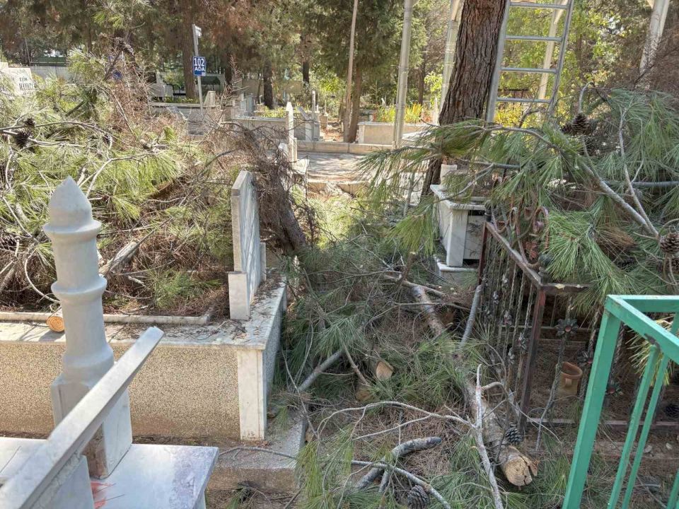 Mezarlıkta budanan ağaçlar kabirlere zarar verdi