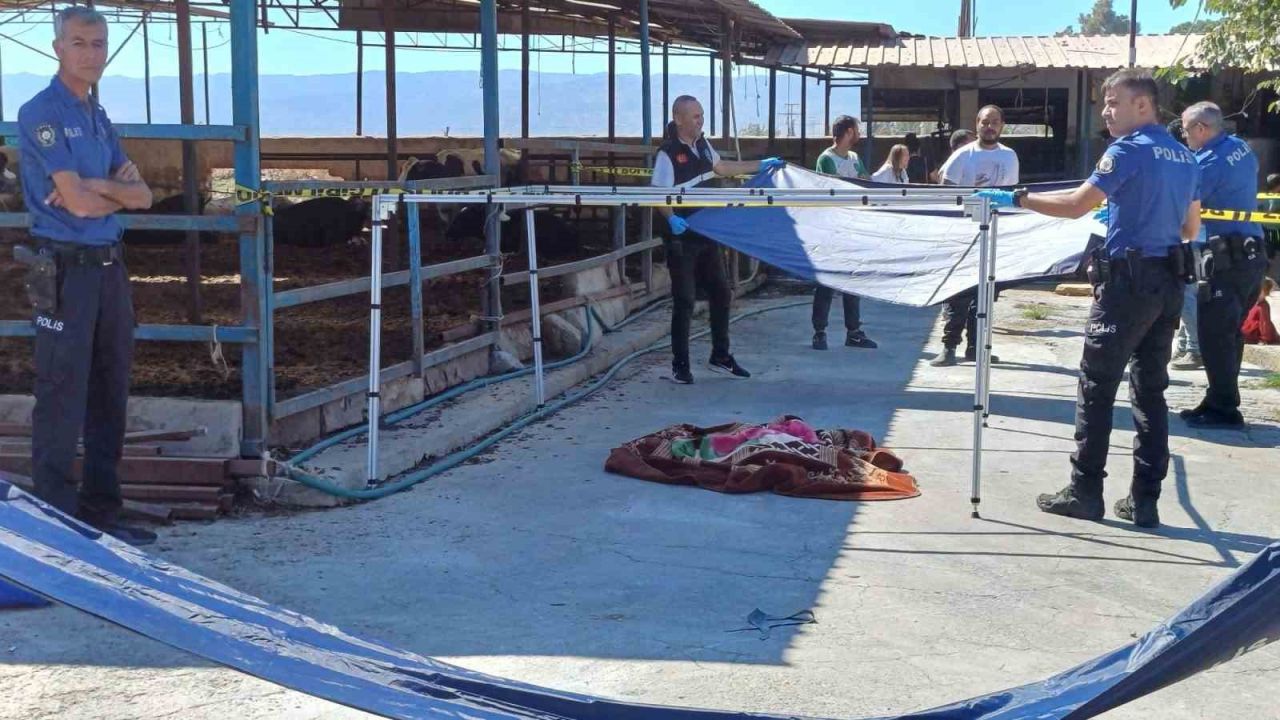 Ege'de acı haber: Süt toplama kamyonunun altında kalan çocuk hayatını kaybetti!