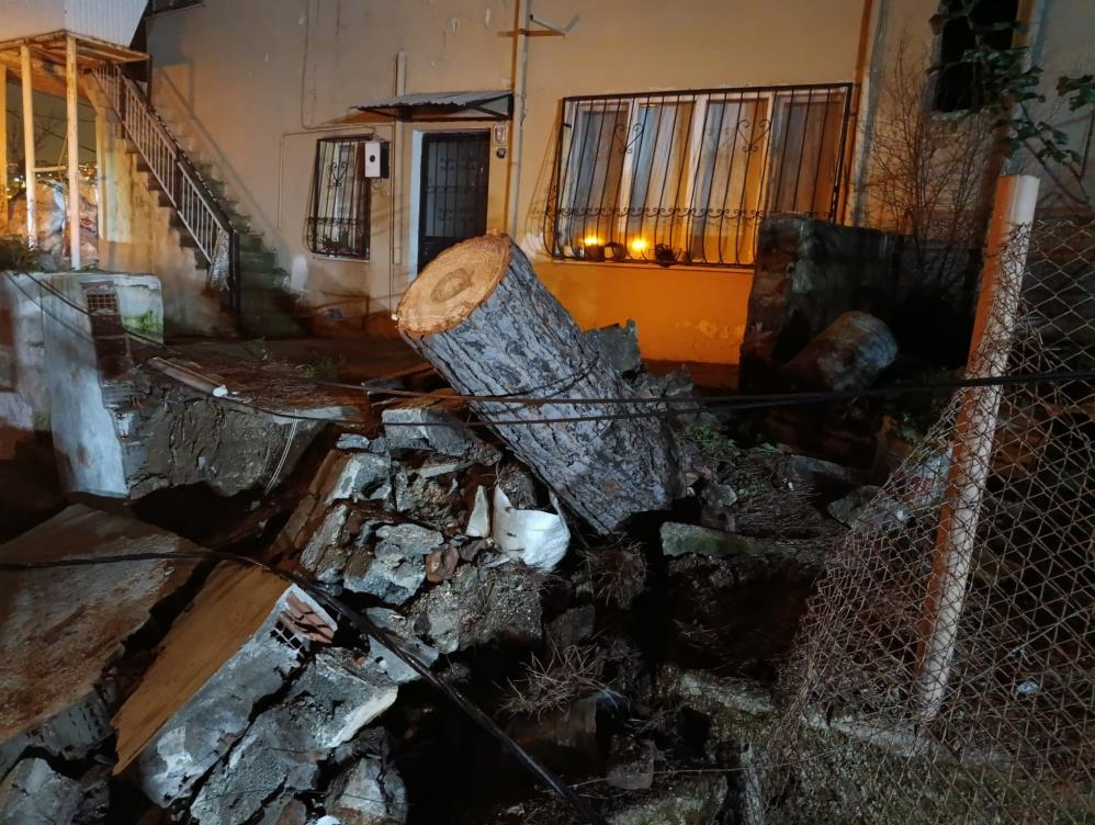 Fırtına nedeniyle devrilen ağaç alev aldı!