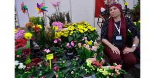 Bayındır19 Çiçek Festivali