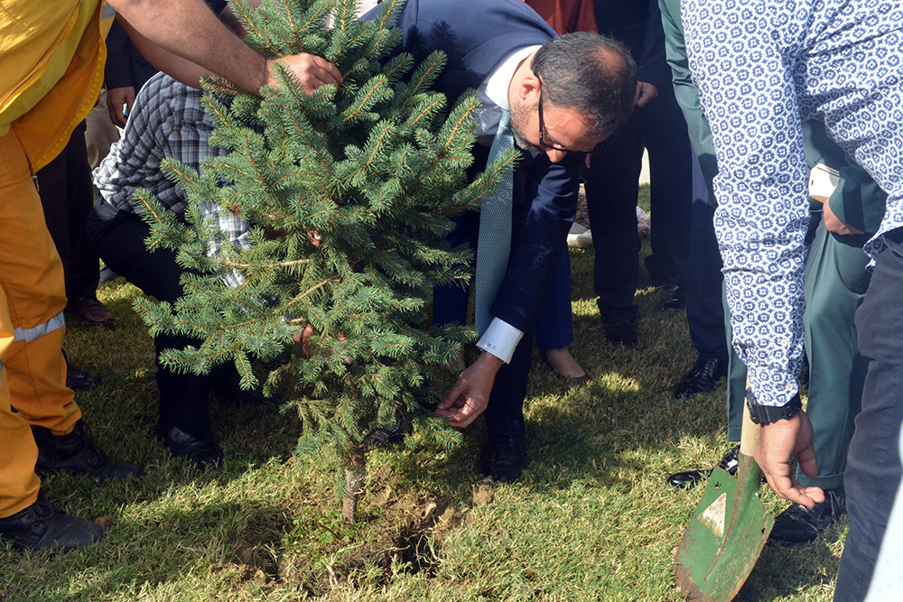 Bakan Kasapoğlu Turgutlu'da: 'Fidanıma iyi bakarsınız değil mi?'