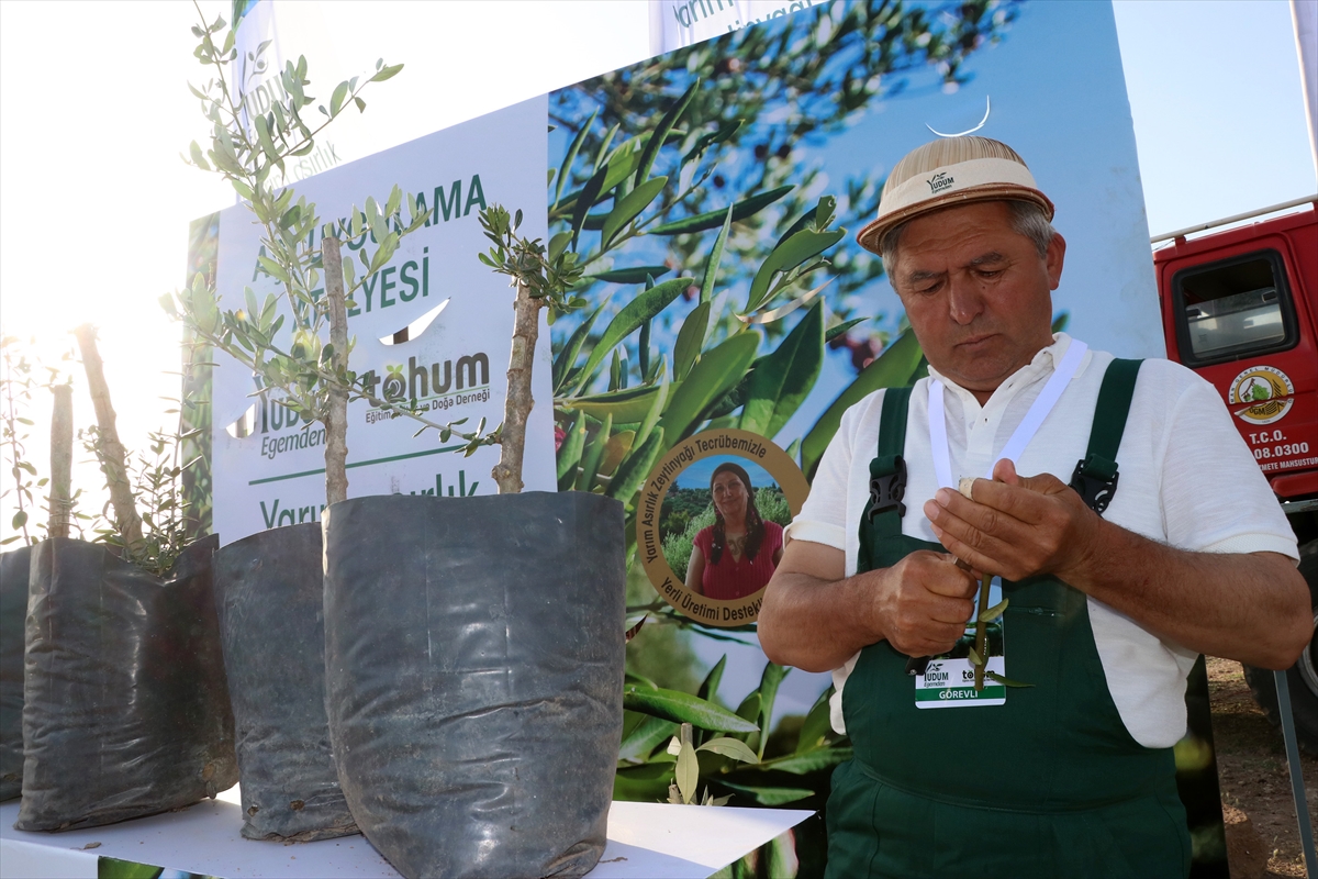 Yudum Egemden ile Tohum Derneğinin &quot;delice zeytin&quot; projesi tanıtıldı