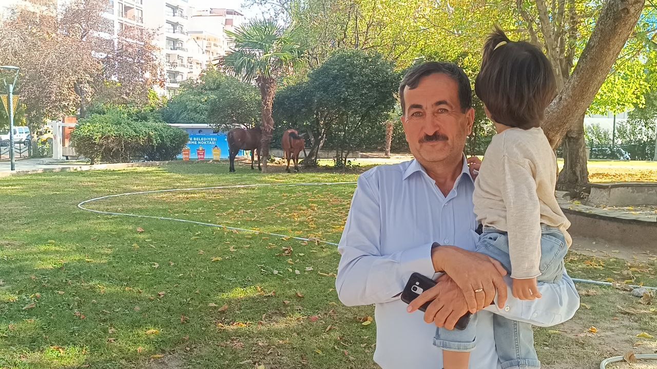 Yılkı atları şehre indi... İlgi odağı oldular!