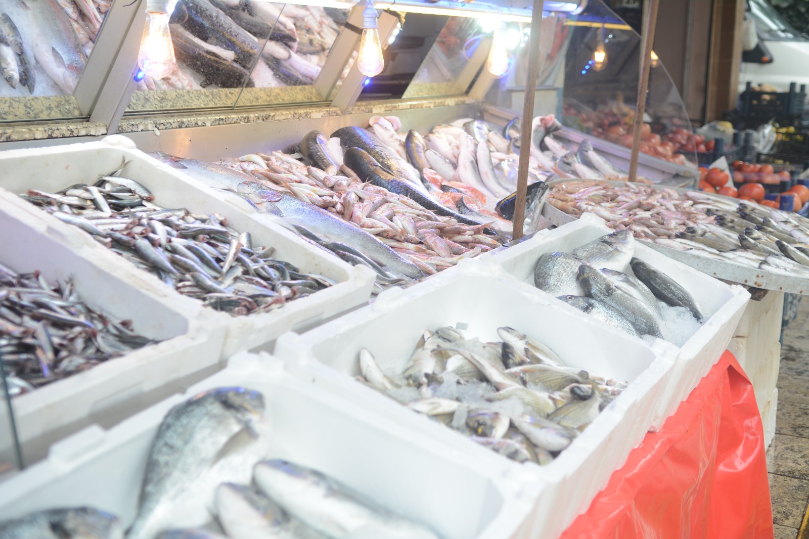 Turgutlu'da balık tezgahları hareketlendi