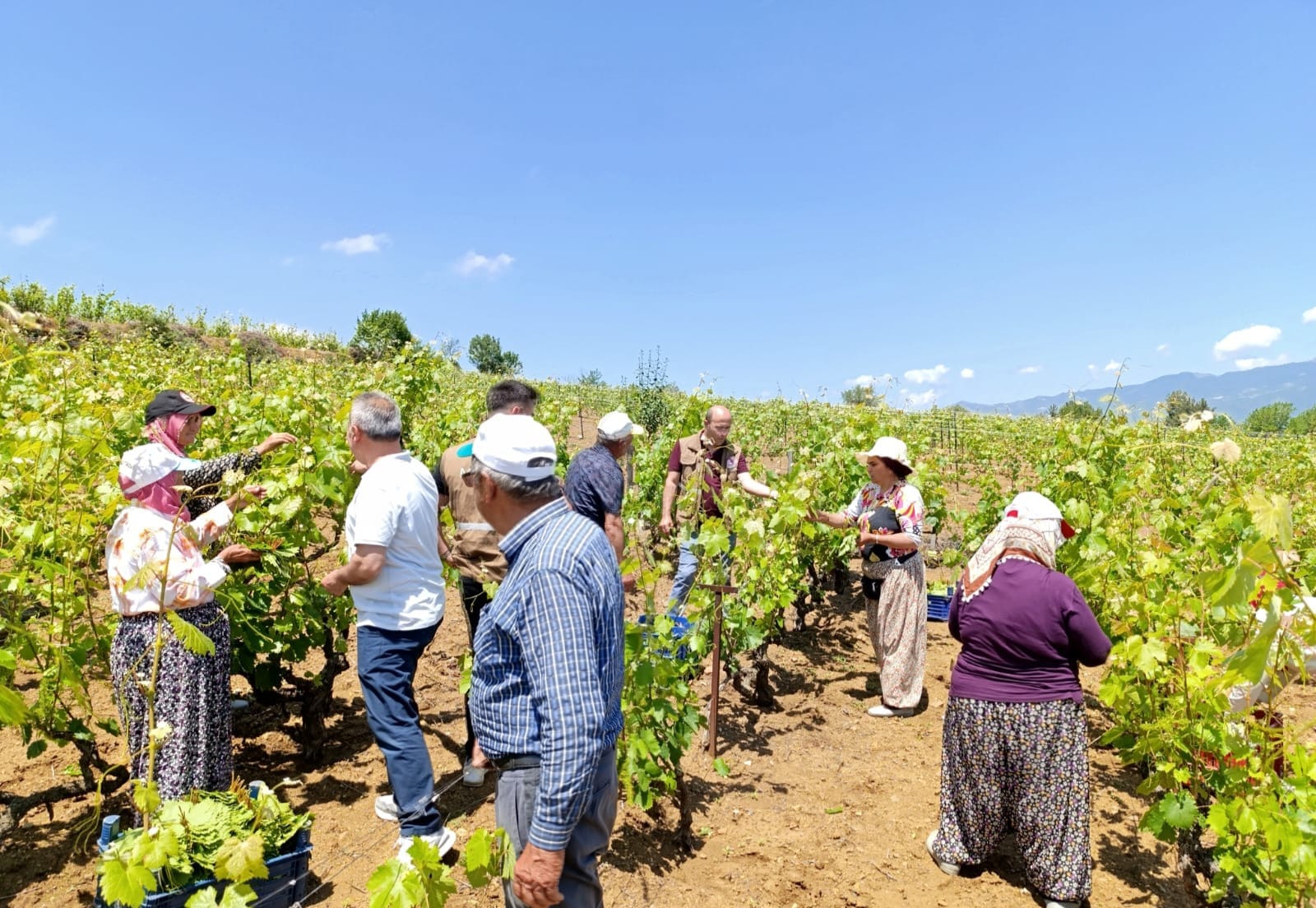 Manisa İl Tarım ve Orman Müdürlüğünden ziyaret 