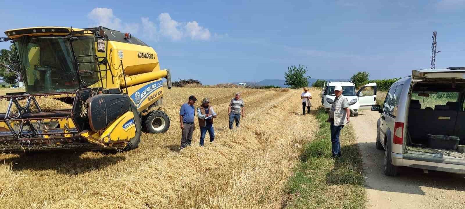 Yüzde 75 hibe destekli arpa hasadı başladı