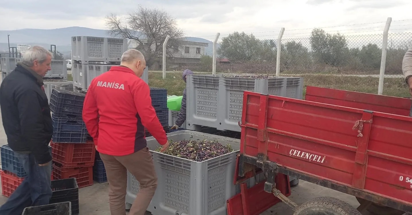 İl Müdürü Öztürk’ten Zeytinyağı İşletmelerine Ziyaret