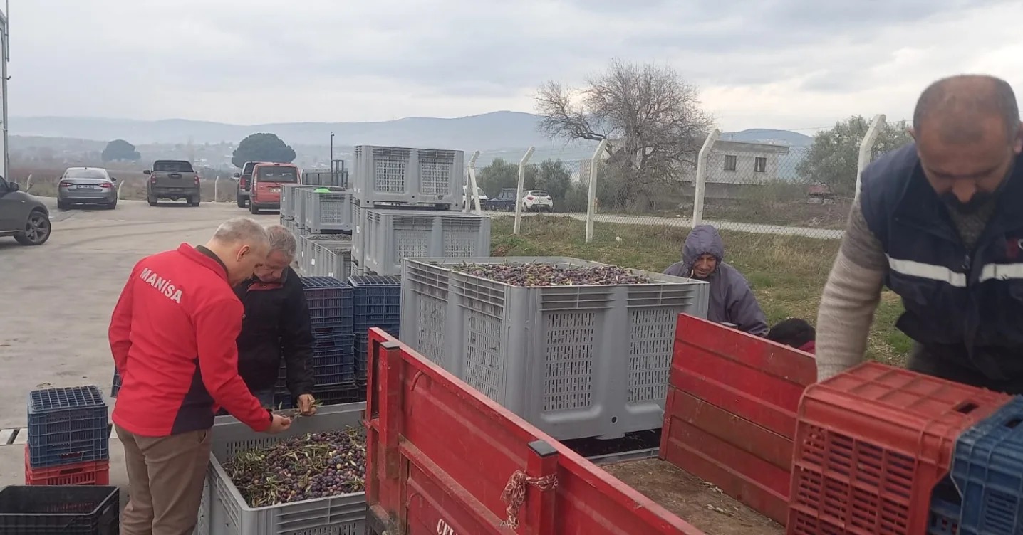 İl Müdürü Öztürk’ten Zeytinyağı İşletmelerine Ziyaret