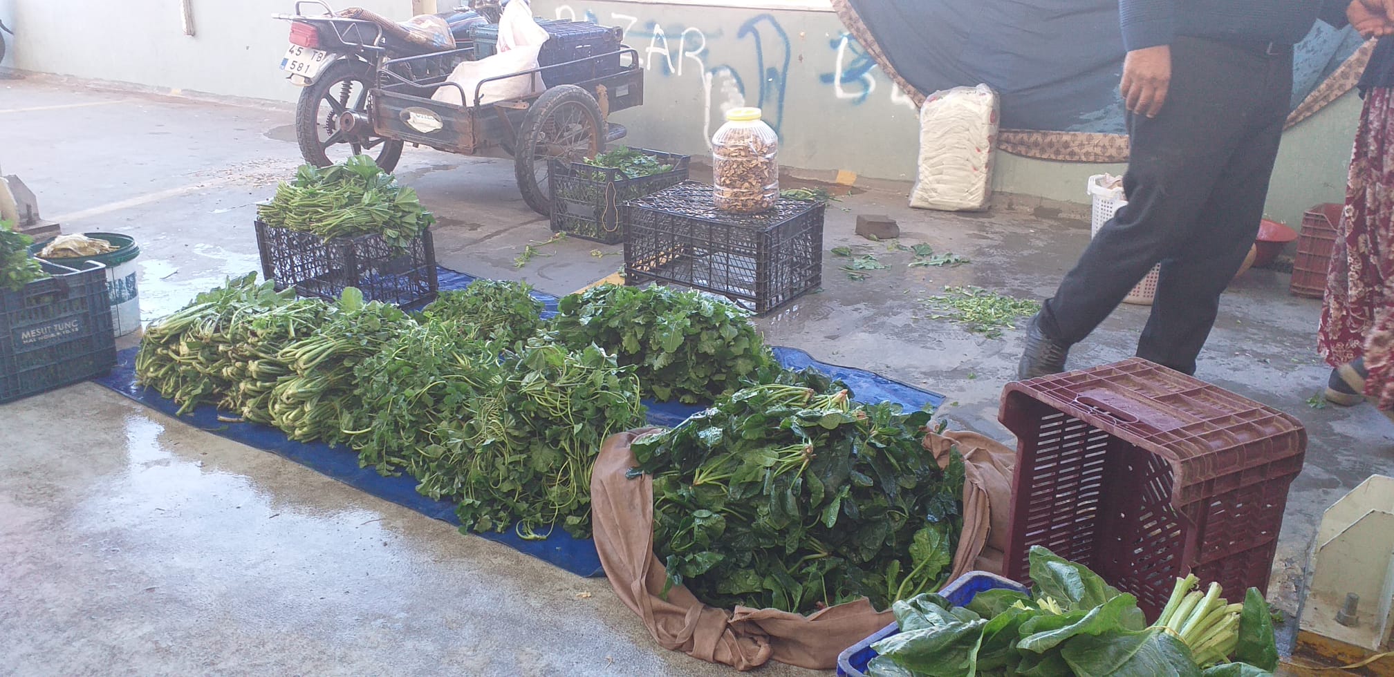 Bu hafta Perşembe Pazarı'nda fiyatlar nasıl?