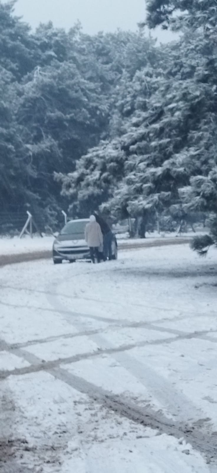Turgutlulu Vatandaşlar Ovacık’ta Kar Keyfi Yaptı