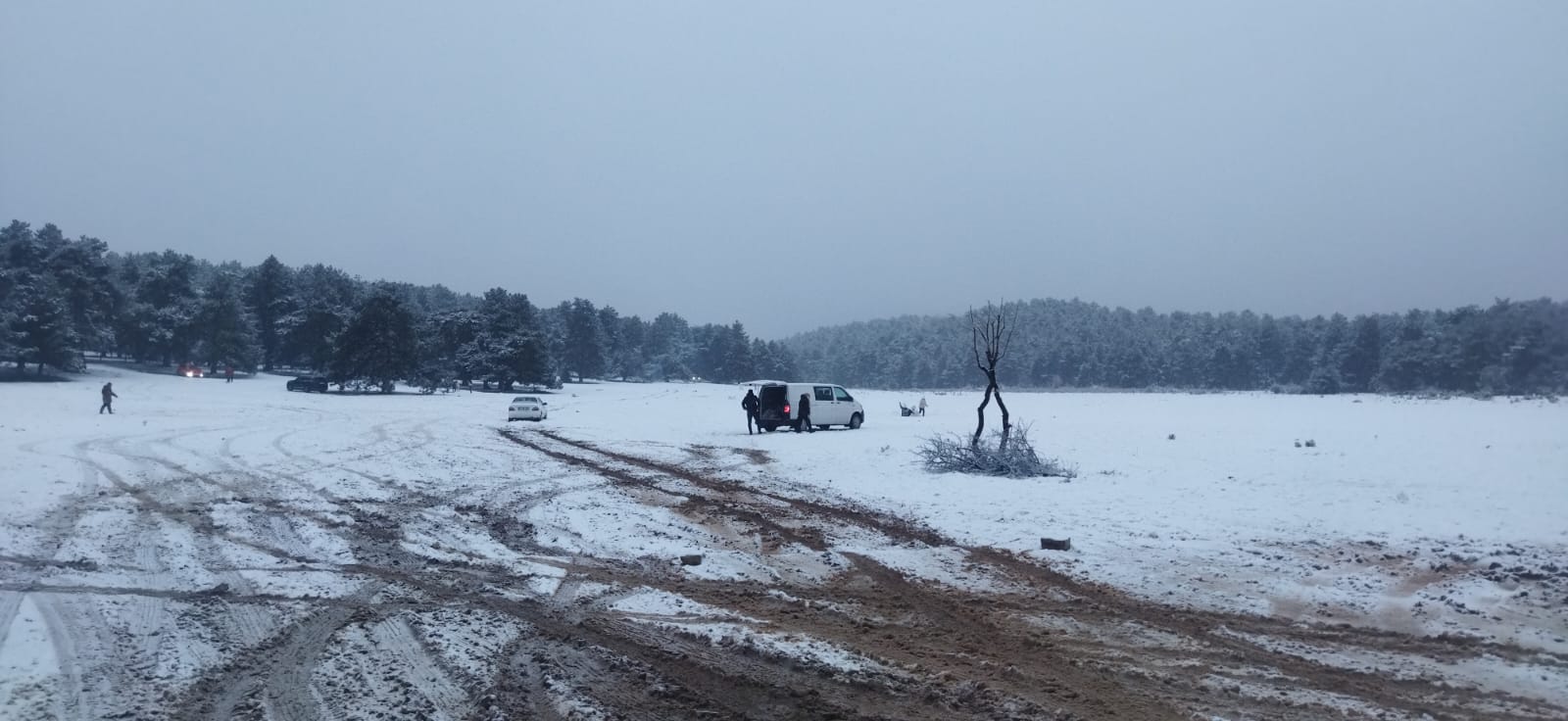 Turgutlulu Vatandaşlar Ovacık’ta Kar Keyfi Yaptı
