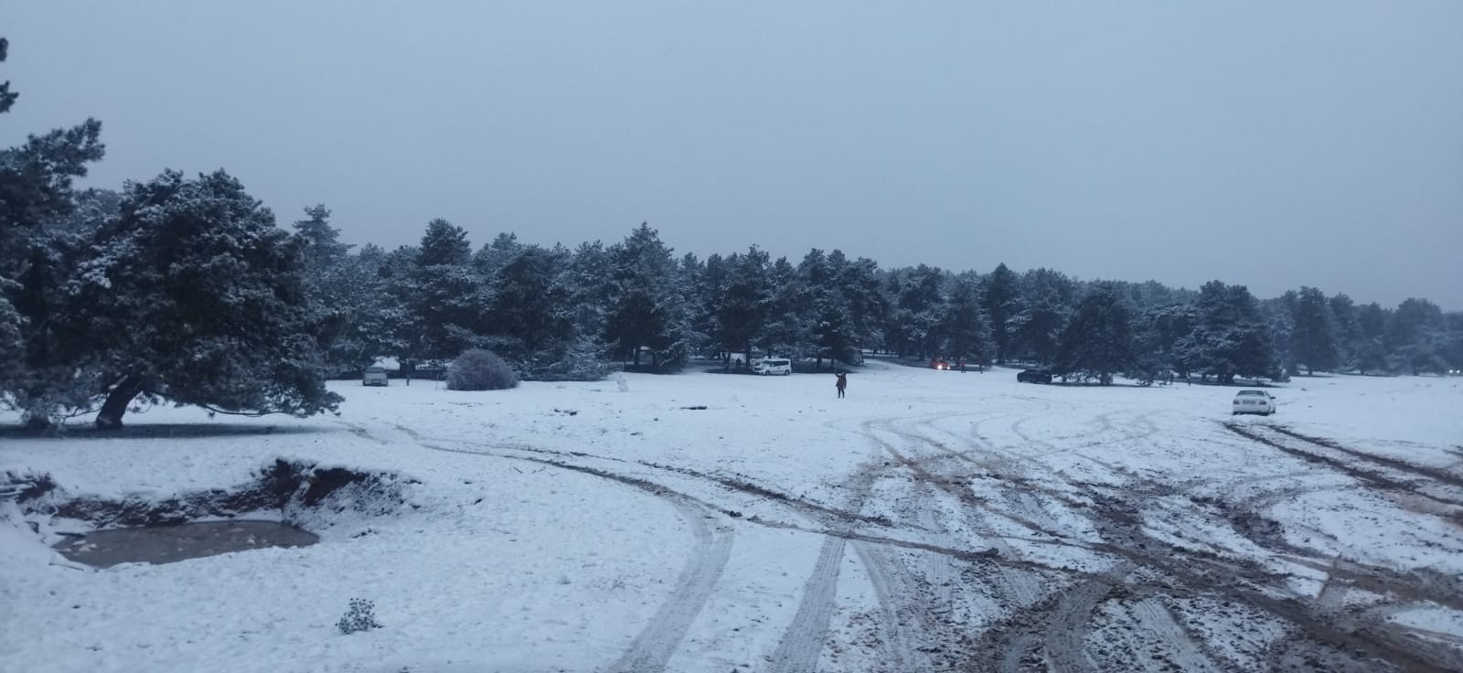 Turgutlulu Vatandaşlar Ovacık’ta Kar Keyfi Yaptı