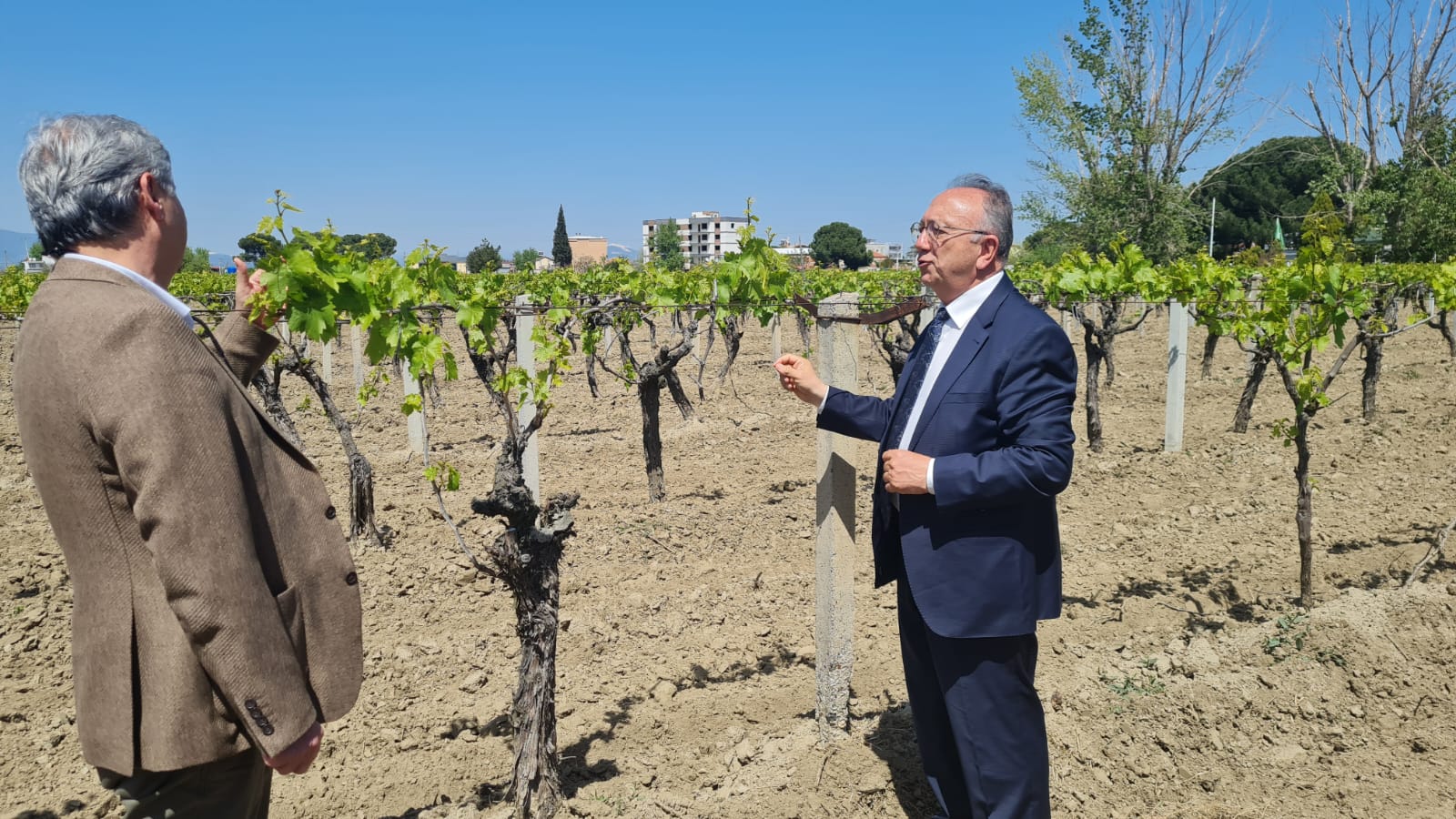 Hibe desteğinde son başvuru tarihi 30 Mayıs’a uzatıldı