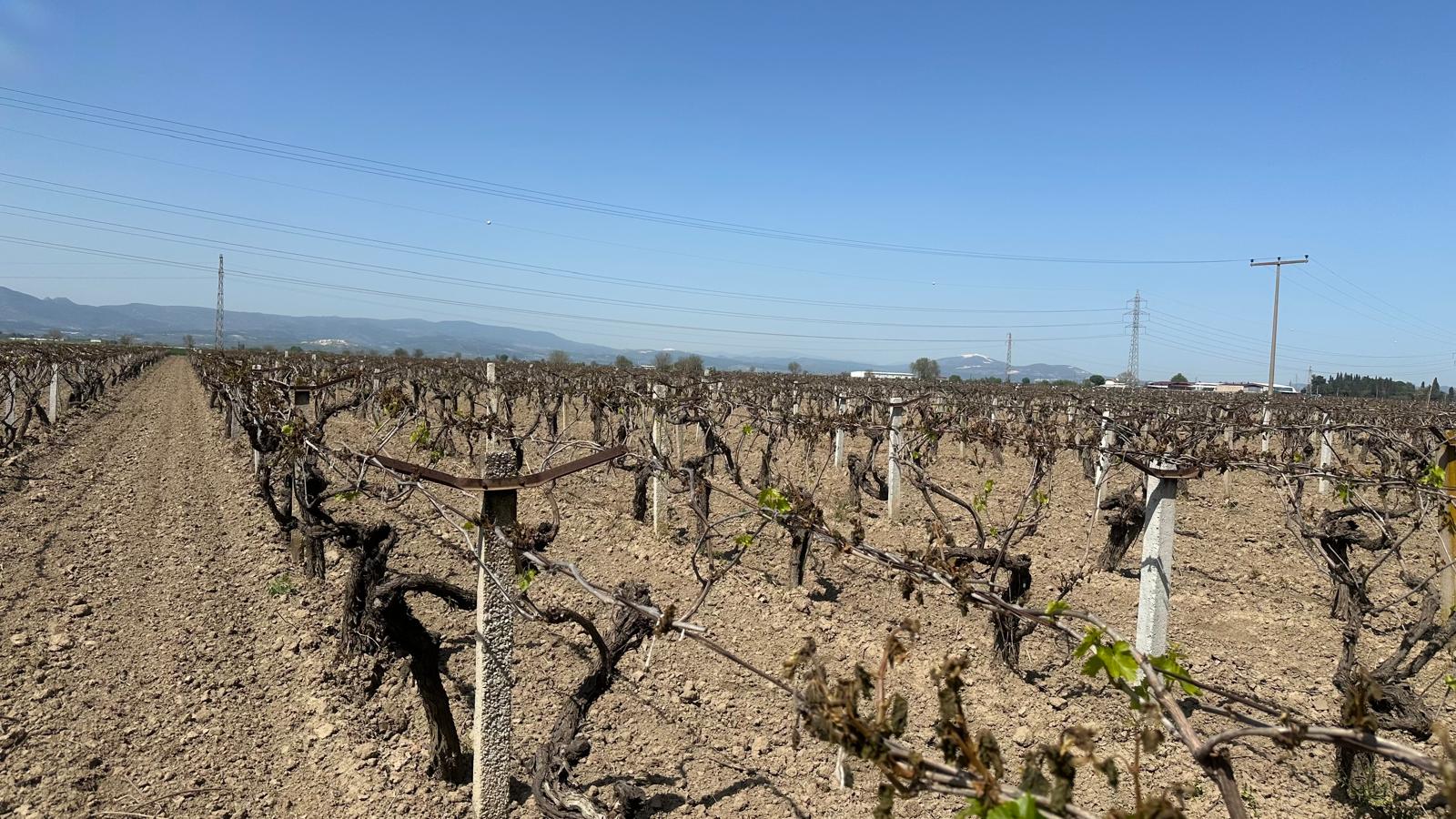 Hibe desteğinde son başvuru tarihi 30 Mayıs’a uzatıldı