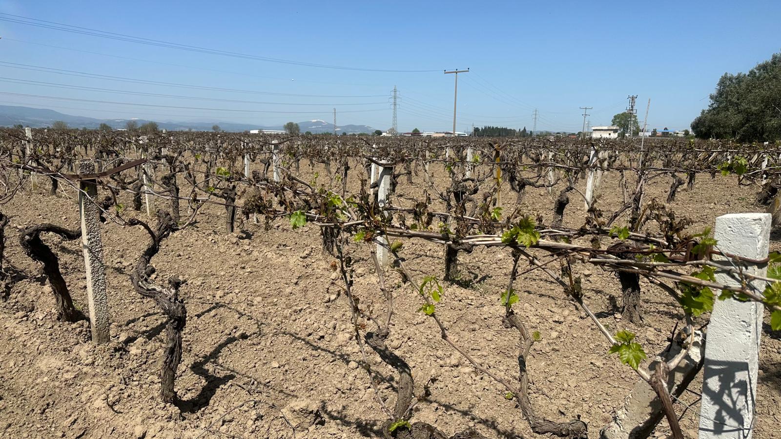 Hibe desteğinde son başvuru tarihi 30 Mayıs’a uzatıldı