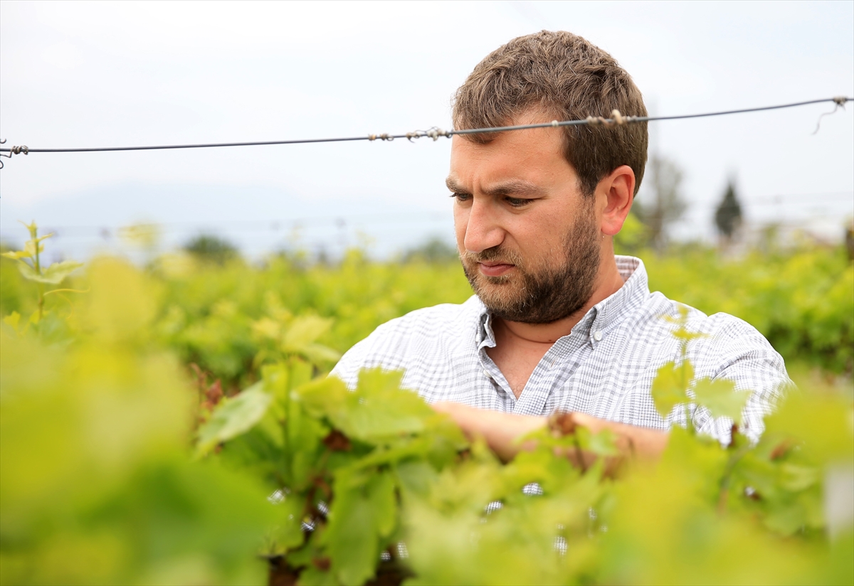 Manisa'da organik ürünler üreten genç çiftçi ihracatı hedefliyor
