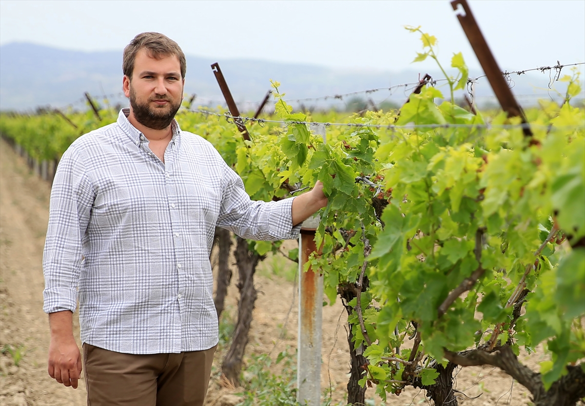 Manisa'da organik ürünler üreten genç çiftçi ihracatı hedefliyor