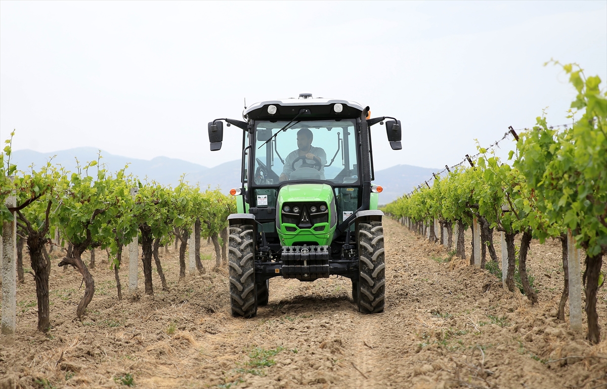Manisa'da organik ürünler üreten genç çiftçi ihracatı hedefliyor