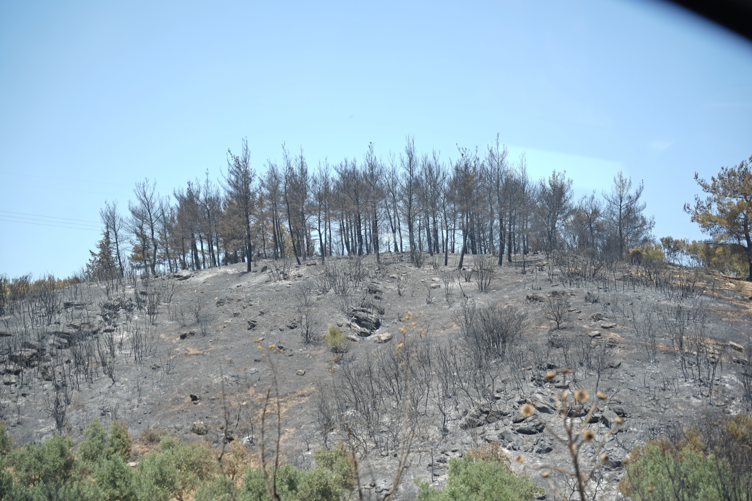 Başkan Dutlulu, Akhisar’daki Yangın Bölgesinde İncelemelerde Bulundu