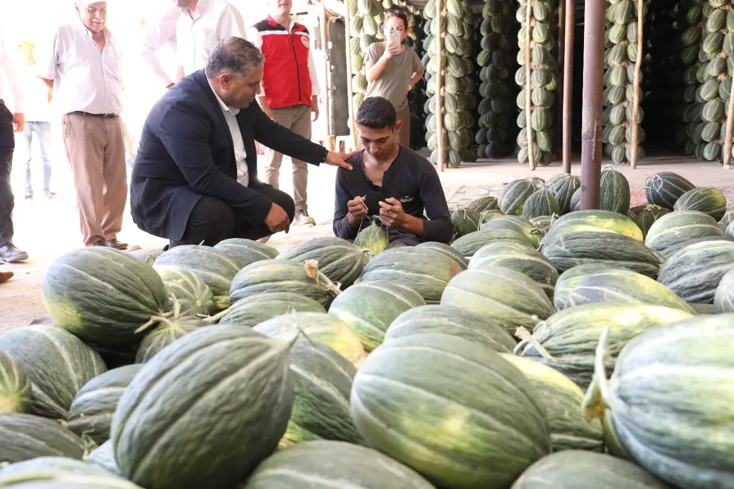 Manisa'da hasat edilen kavunların depolama işlemi gerçekleşti