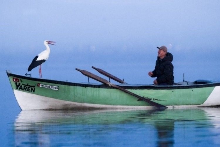 Yaren leylek bu yıl erken göçtü: Adem Yılmaz’dan duygulandıran veda
