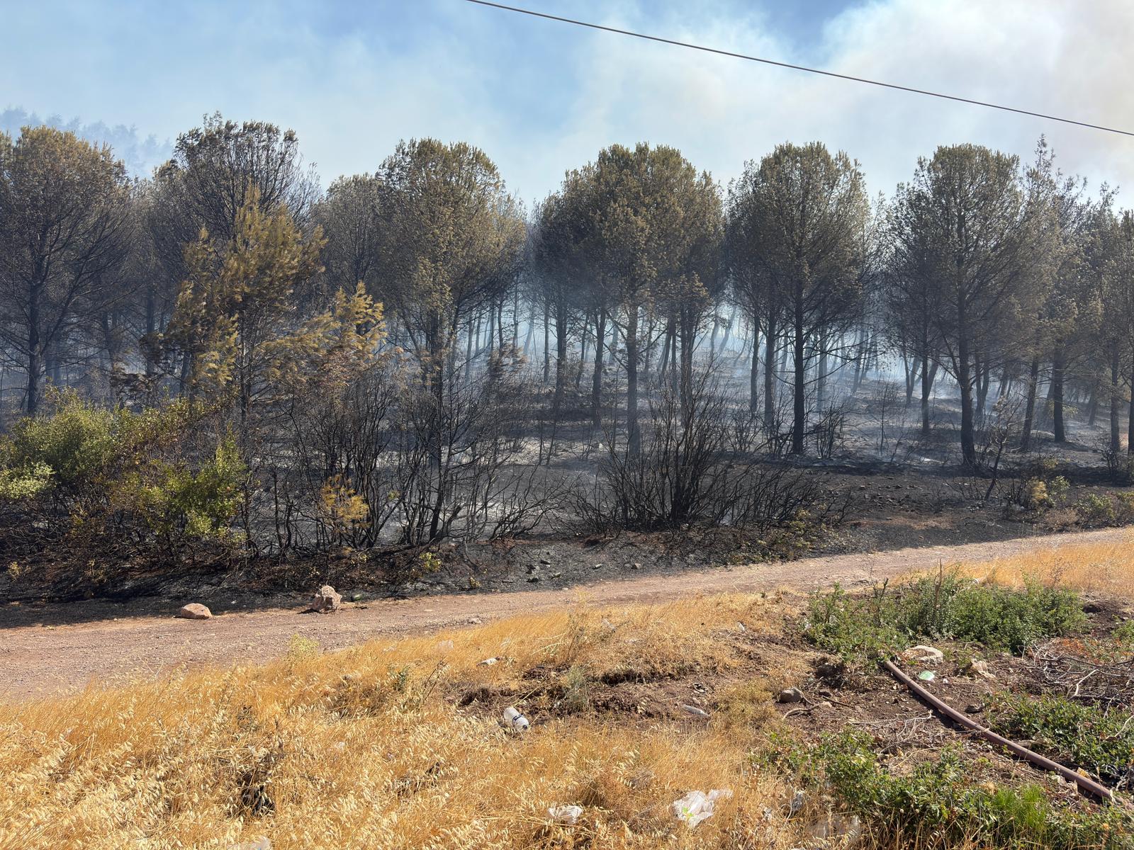 Soma Yangınına Müdahale Sürüyor
