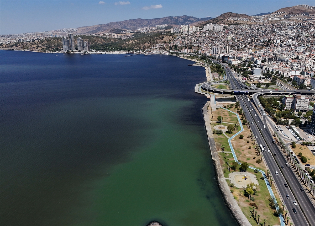 İzmir Körfezi'nde balık ölümleri yeniden başladı