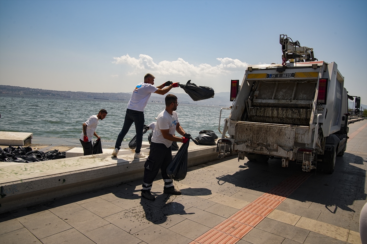 İzmir Körfezi'nde çok sayıda ölü balık kıyıya vurdu