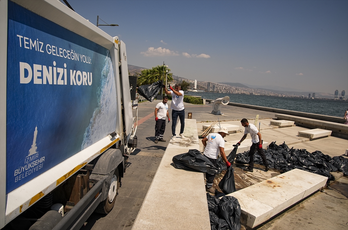İzmir Körfezi'nde çok sayıda ölü balık kıyıya vurdu