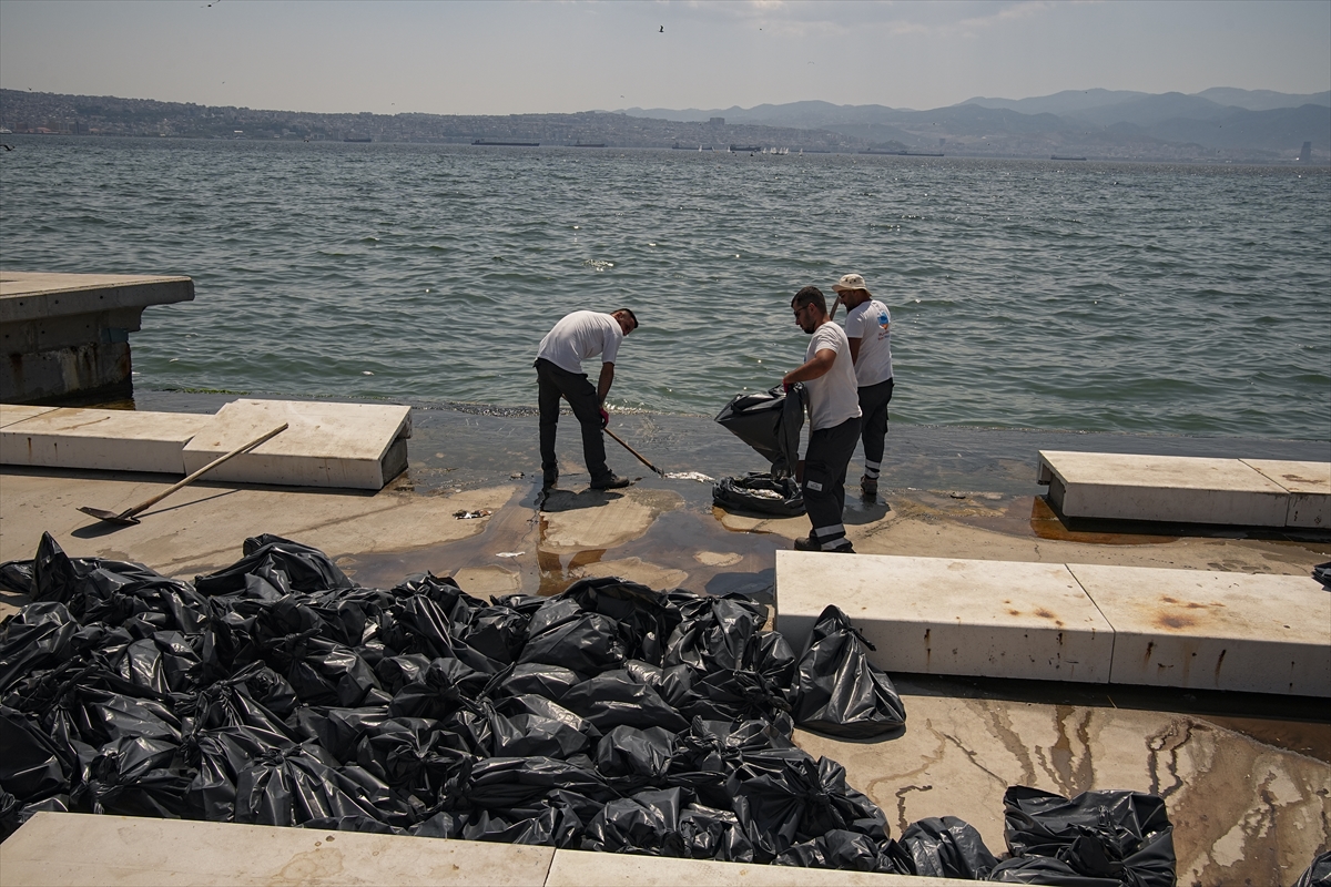 İzmir Körfezi'nde çok sayıda ölü balık kıyıya vurdu