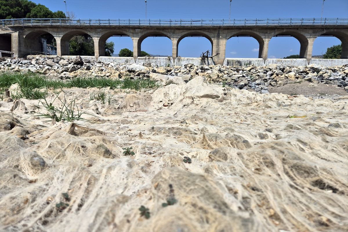 Susuzluk kapıda, Gediz kuruyor!