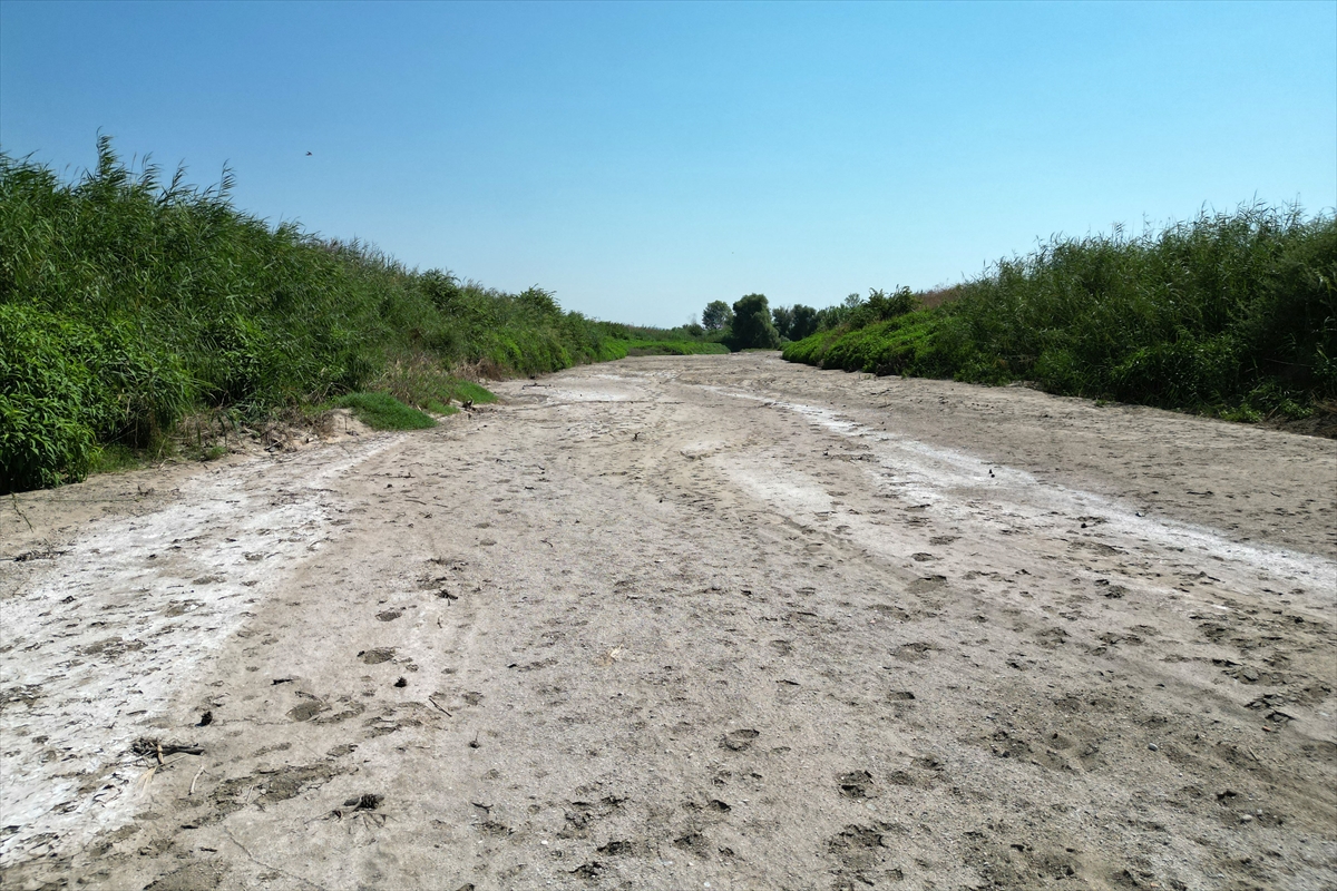 Susuzluk kapıda, Gediz kuruyor!