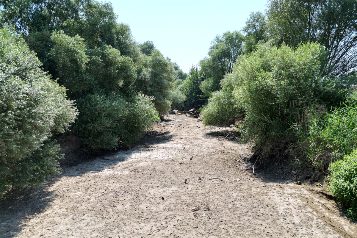 Susuzluk kapıda, Gediz kuruyor!