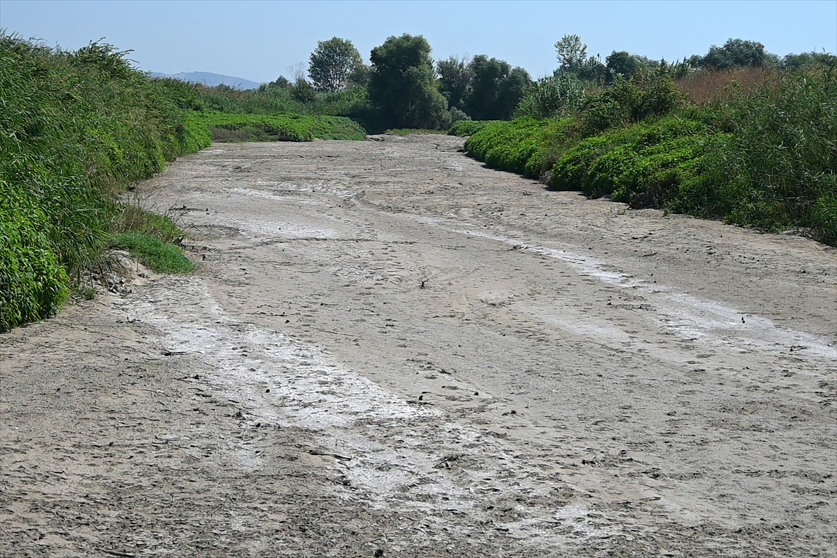 Susuzluk kapıda, Gediz kuruyor!