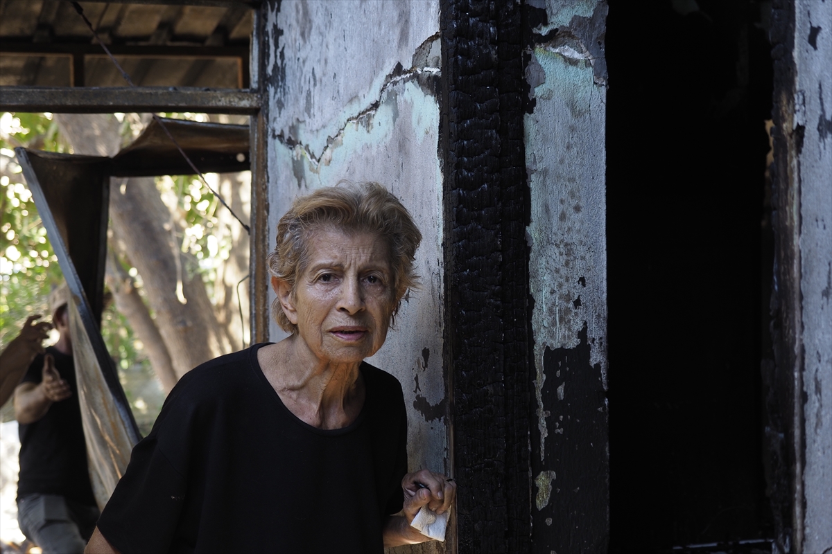 İzmir'de barakada yangın çıktı: 34 küçükbaş telef oldu