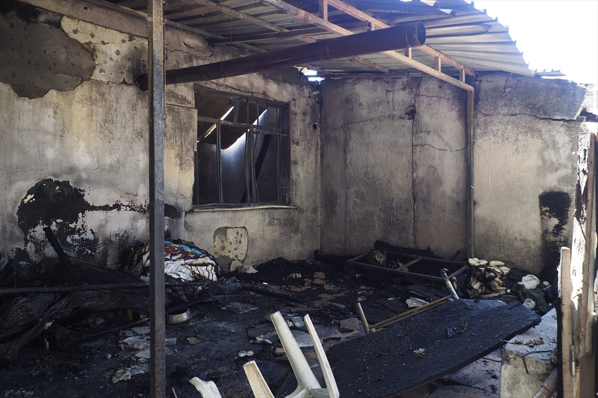 İzmir'de barakada yangın çıktı: 34 küçükbaş telef oldu