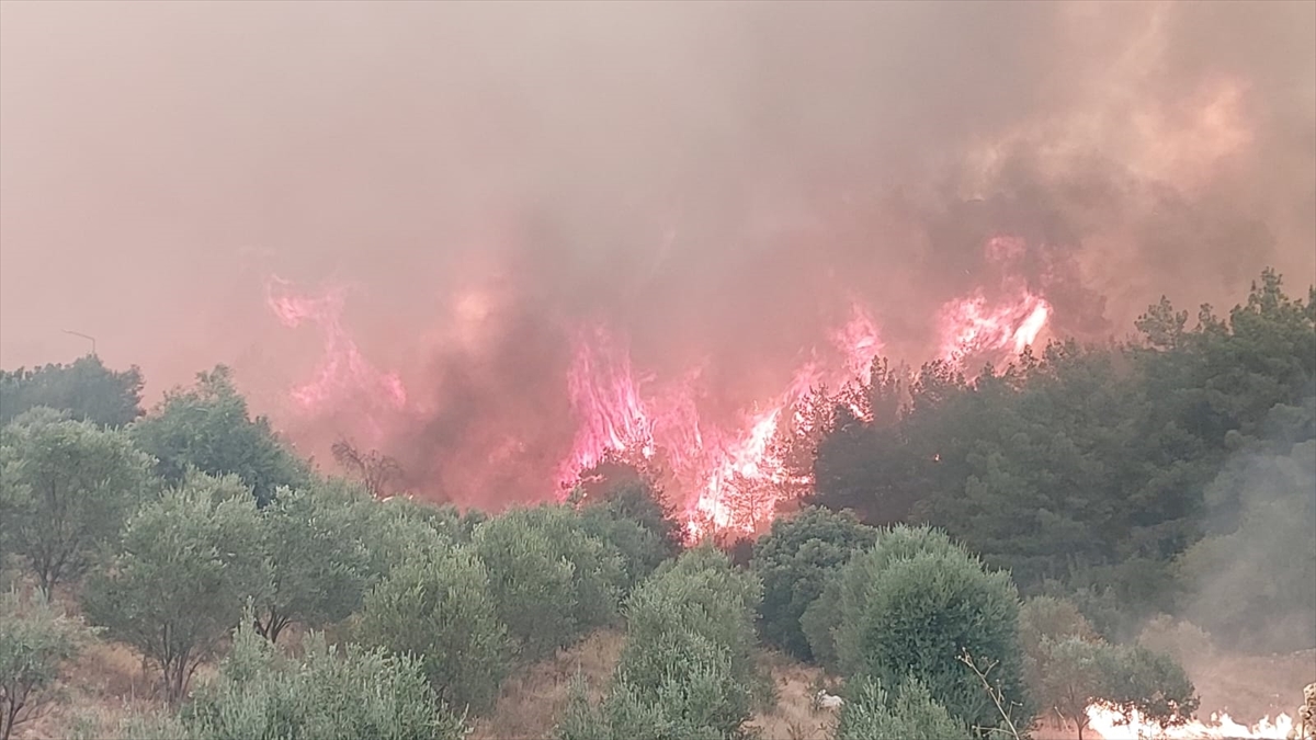 Denizli'deki orman yangını 3.gününde! 2 mahalle boşaltıldı