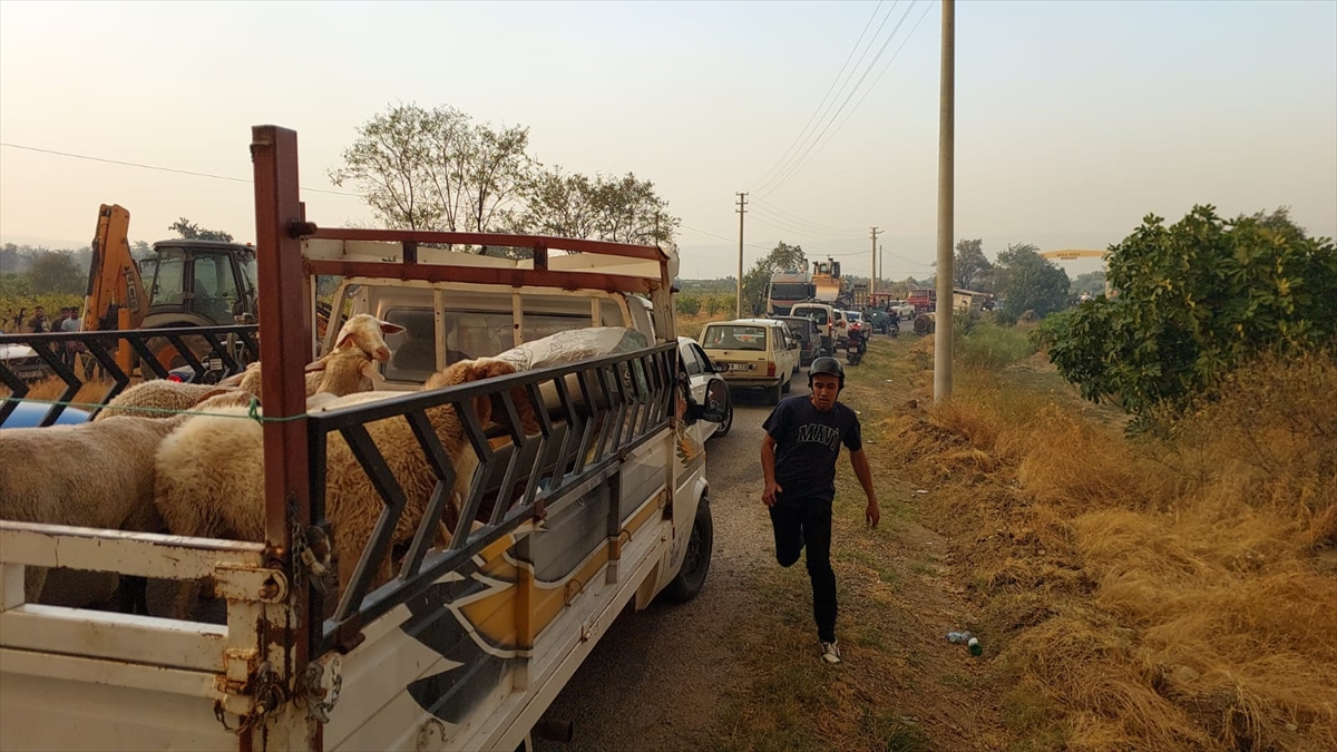 Denizli'deki orman yangını 3.gününde! 2 mahalle boşaltıldı