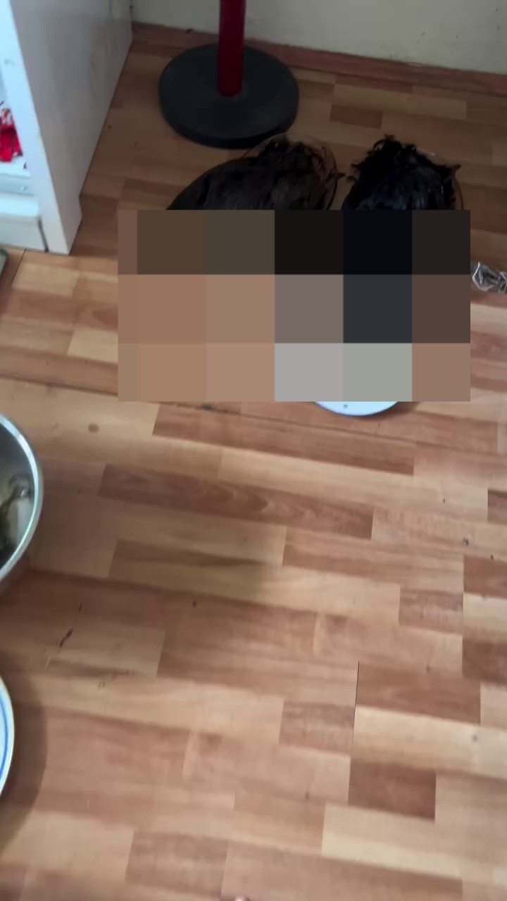 Evinde hayvanları keserek ayin yaptı