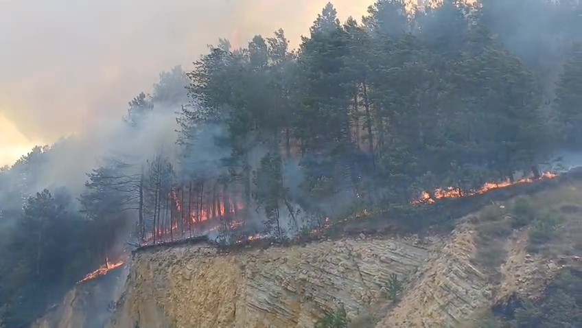 Bolu'da orman yangını: Müdahale havadan ve karadan sürüyor