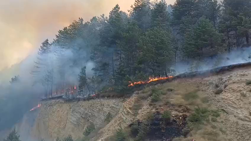 Bolu'da orman yangını: Müdahale havadan ve karadan sürüyor