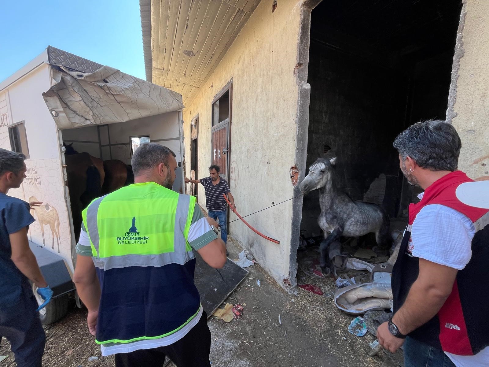 Aç ve susuz bırakıldılar; İhbar üzerine kurtarıldılar