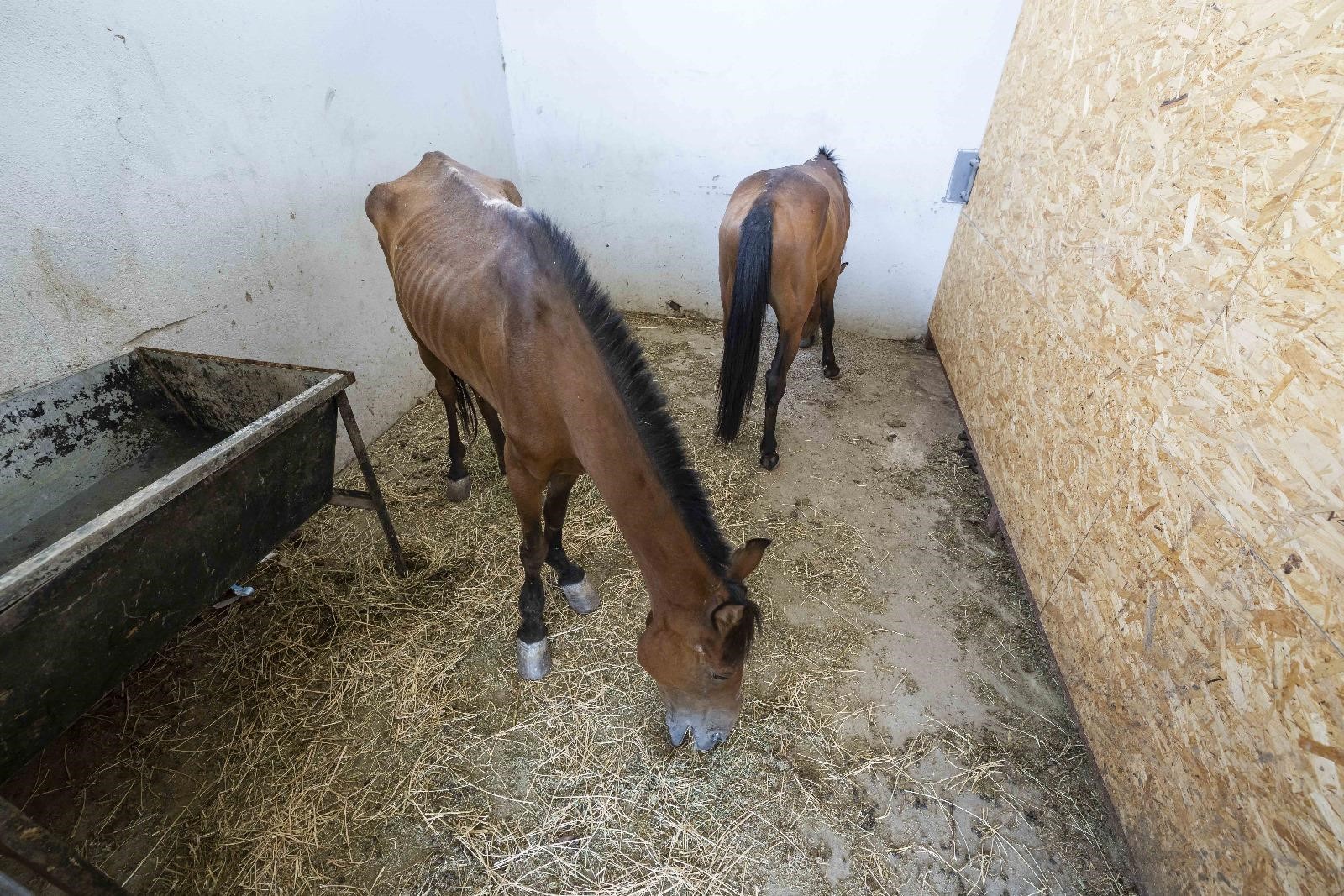 Aç ve susuz bırakıldılar; İhbar üzerine kurtarıldılar